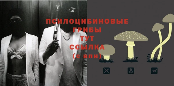 гидра Балабаново