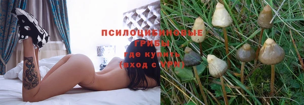 экстази Баксан