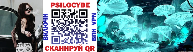 KRAKEN зеркало  Белая Холуница  Псилоцибиновые грибы Psilocybine cubensis  наркошоп 